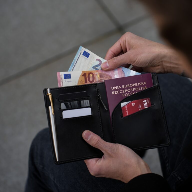 Travel Wallet